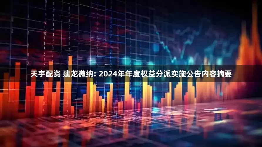 天宇配资 建龙微纳: 2024年年度权益分派实施公告内容摘要