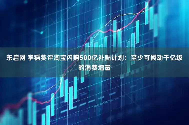 东启网 李稻葵评淘宝闪购500亿补贴计划：至少可撬动千亿级的消费增量