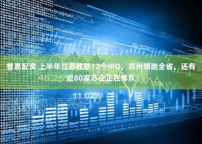 普惠配资 上半年江苏收获12个IPO，苏州领跑全省，还有近80家苏企正在排队
