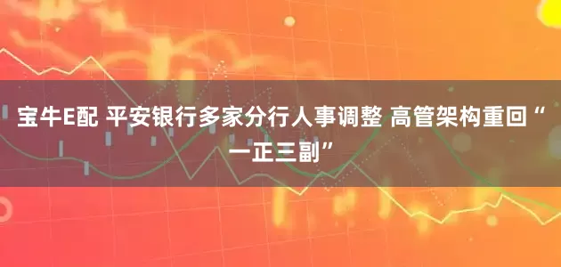 宝牛E配 平安银行多家分行人事调整 高管架构重回“一正三副”