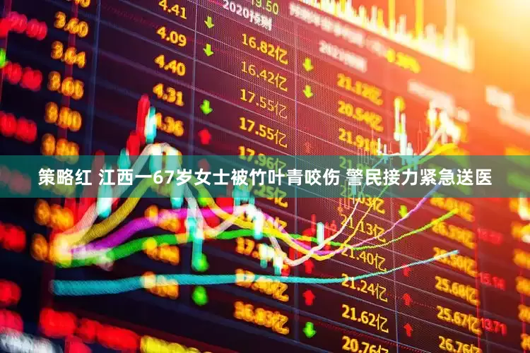 策略红 江西一67岁女士被竹叶青咬伤 警民接力紧急送医