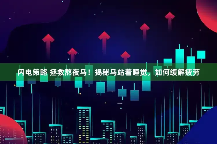 闪电策略 拯救熬夜马！揭秘马站着睡觉，如何缓解疲劳