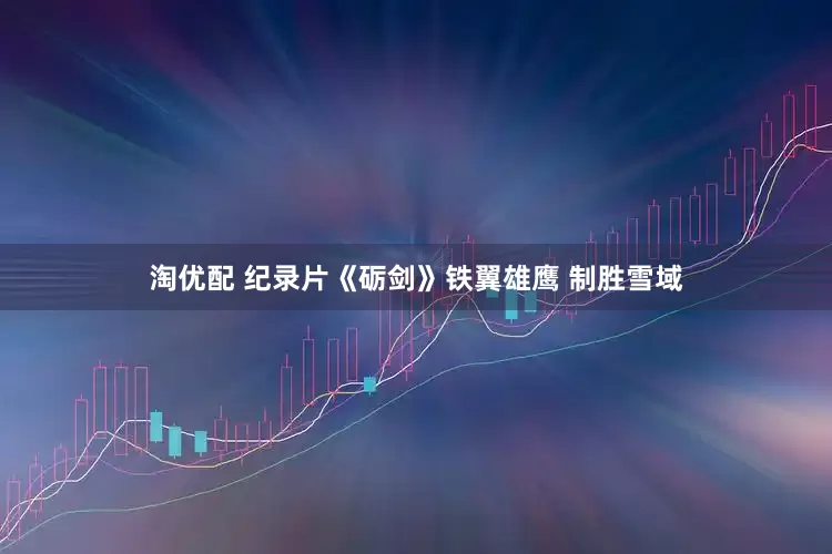 淘优配 纪录片《砺剑》铁翼雄鹰 制胜雪域